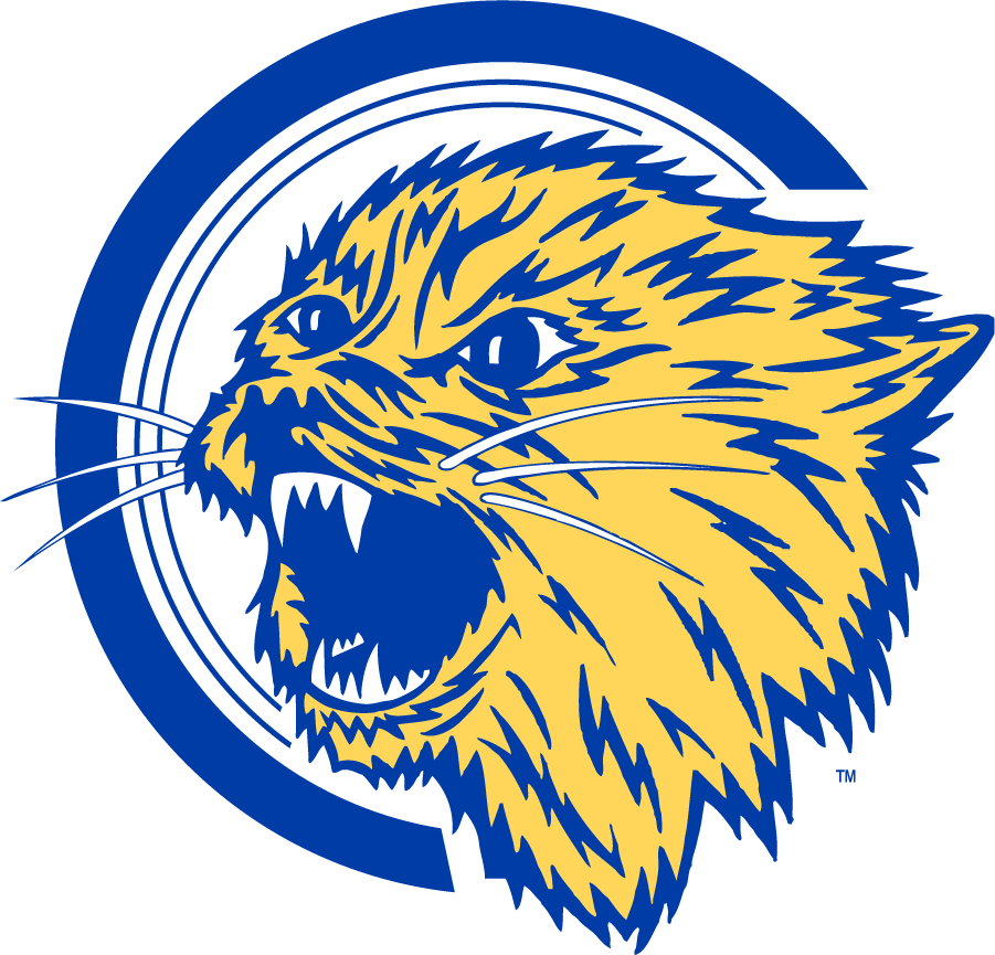 Montana State Bobcats 1965-1995 Alternate Logo diy iron on heat transfer